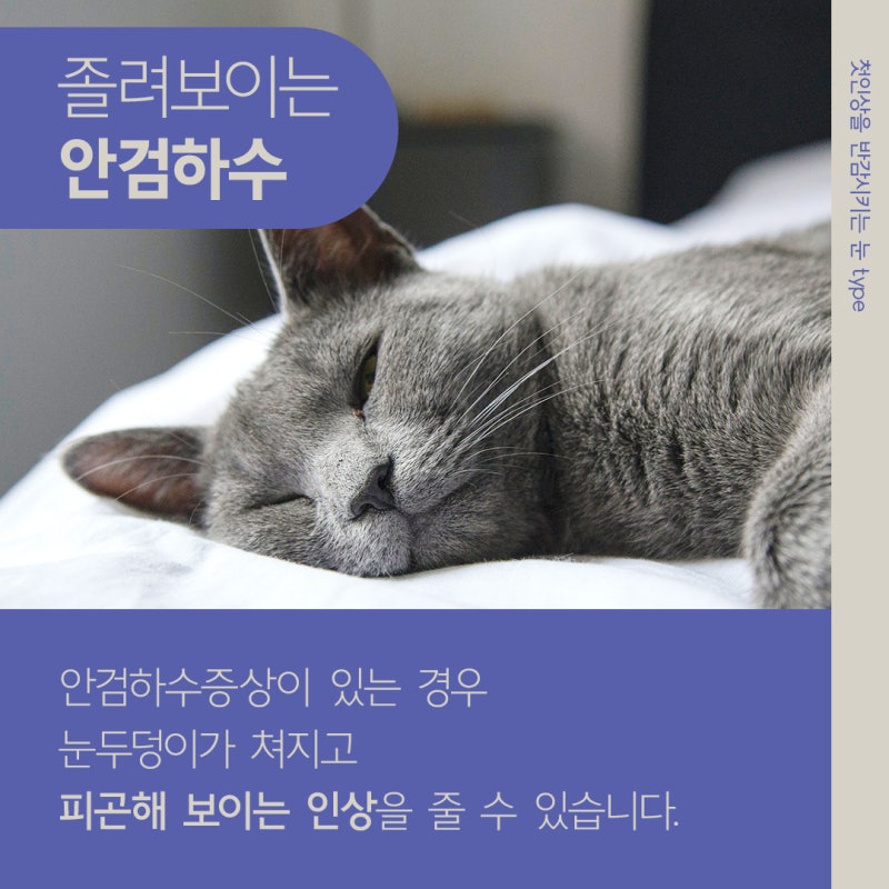 What is Ptosis Correction for Droopy Eyes? 사진 5