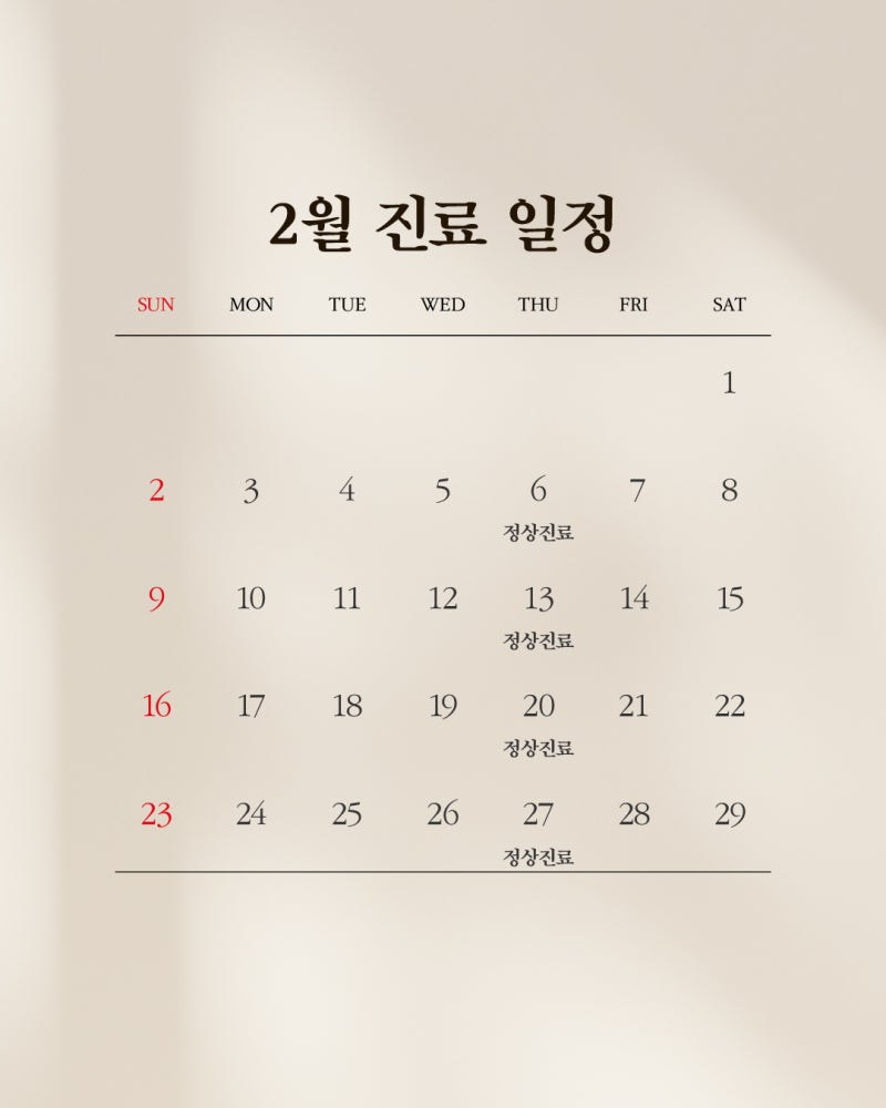 💚1mm Plastic Surgery Clinic: February 2025 Schedule💚