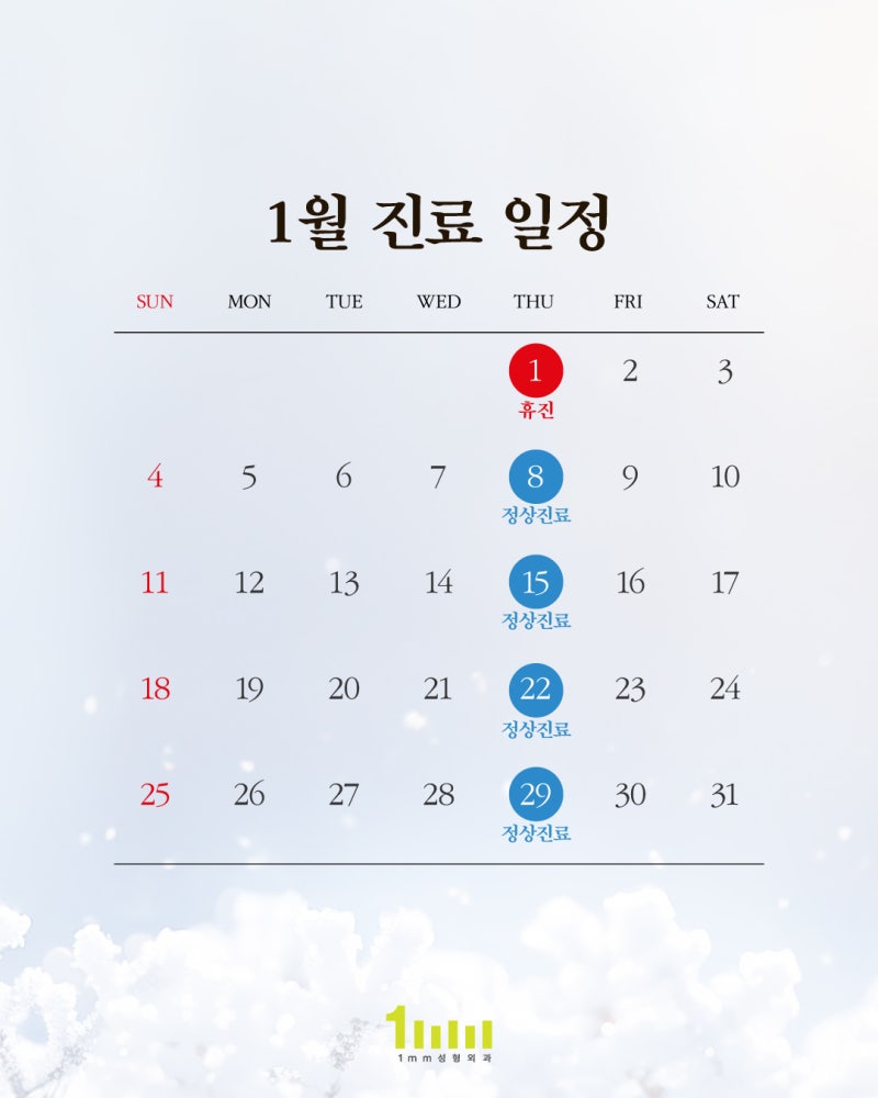 🦄1mm Plastic Surgery Clinic: January 2026 Schedule🦄 사진 2