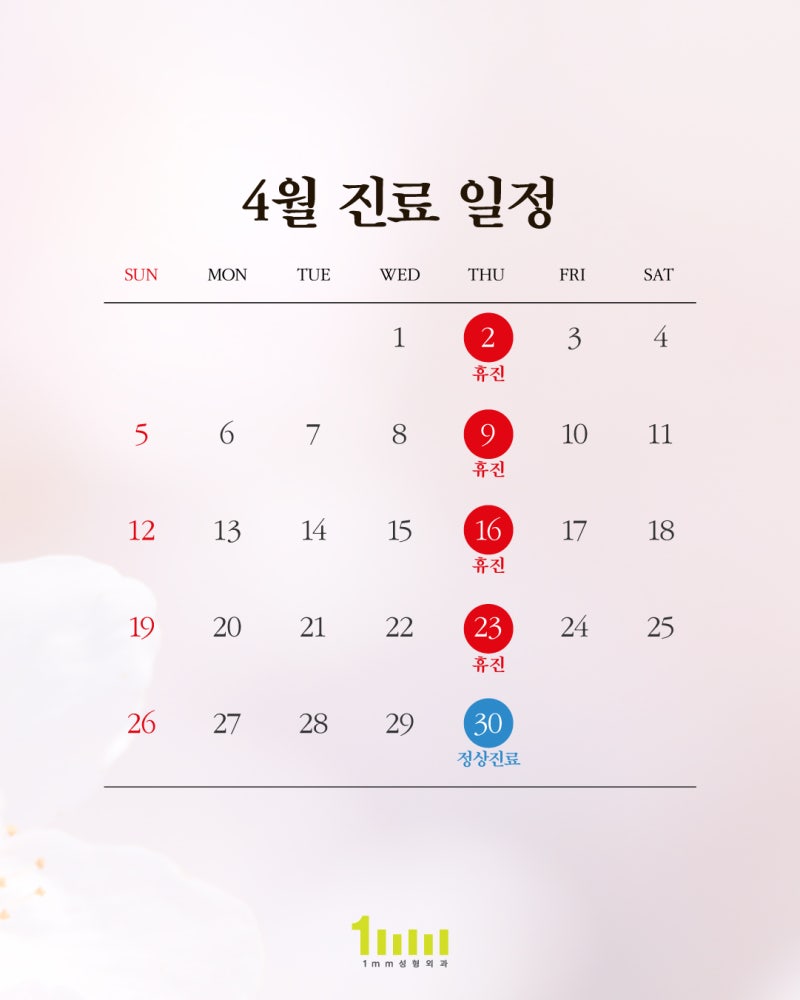 🌸1mm Plastic Surgery Clinic: April 2026 Consultation Guide 🌸 사진 2